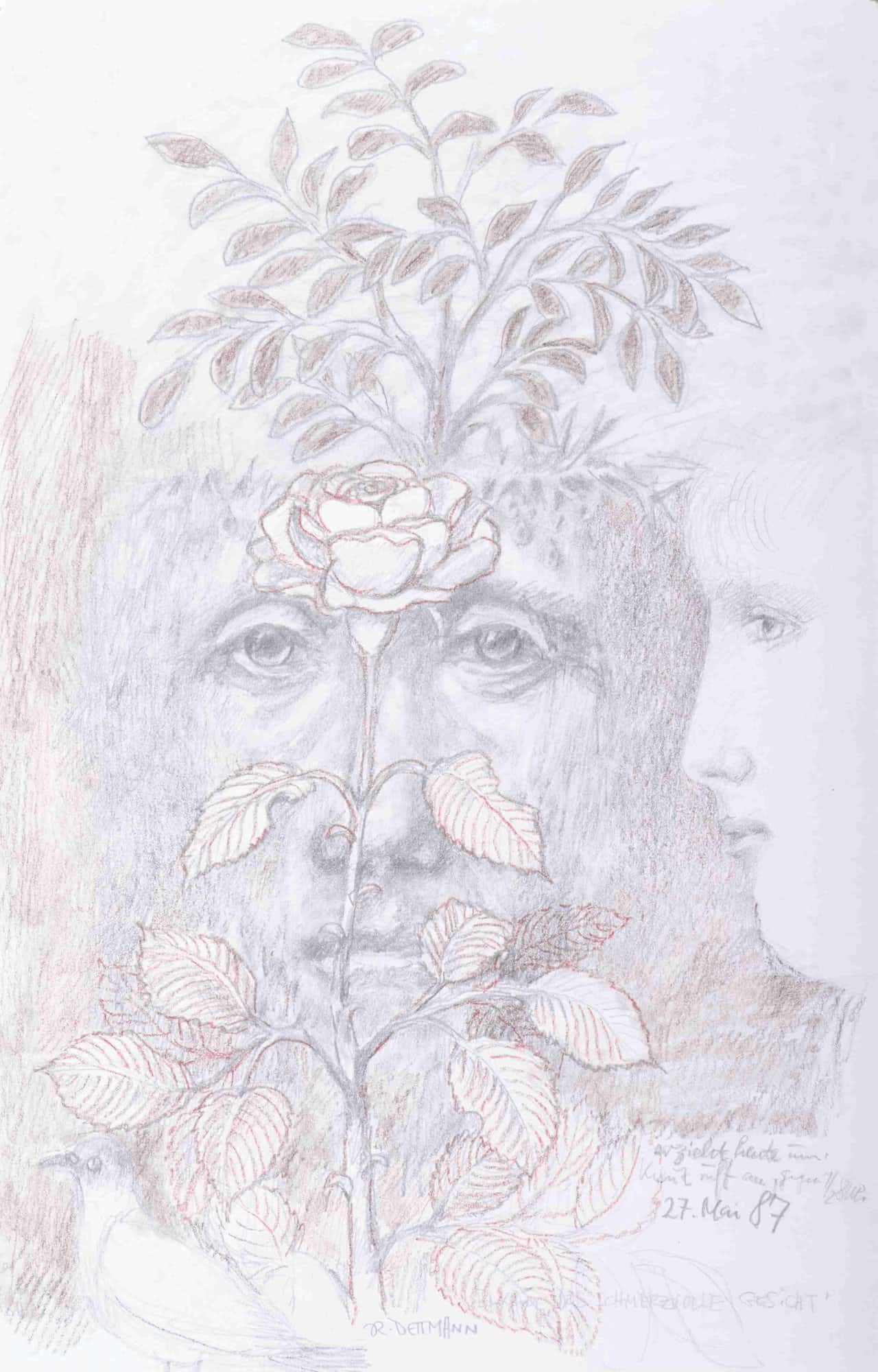 Das schmerzvolle Gesicht