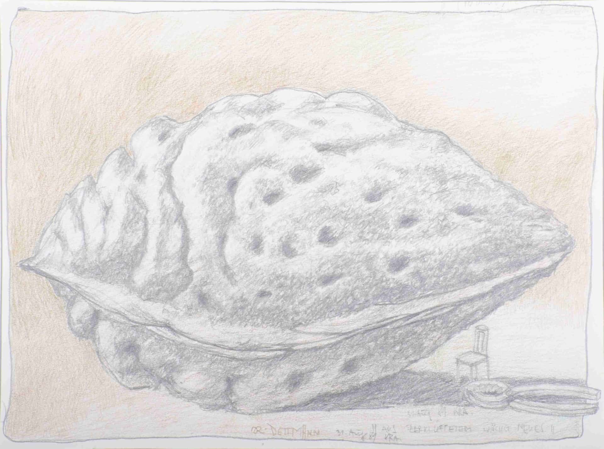 Aus zerklüftetem wächst Neues