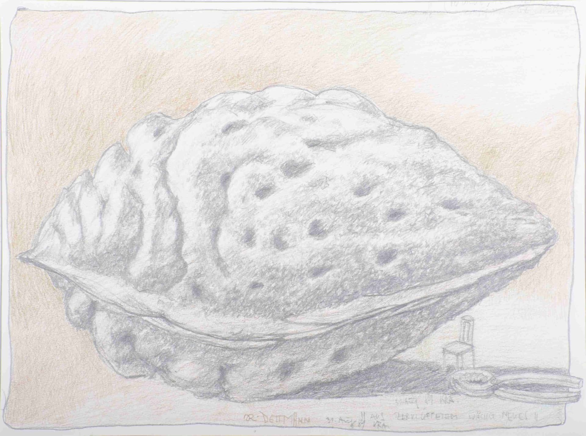 Aus zerklüftetem wächst Neues