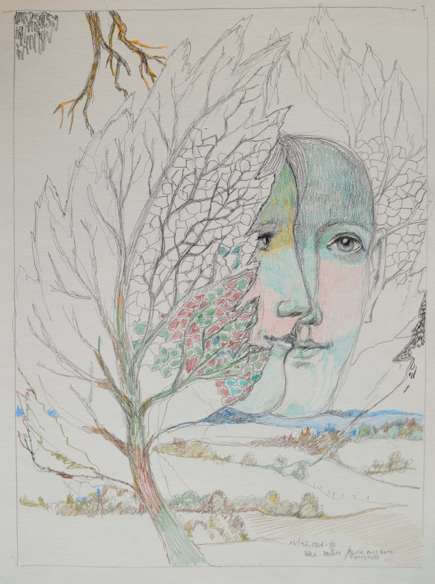 Blick aus dem Fenster