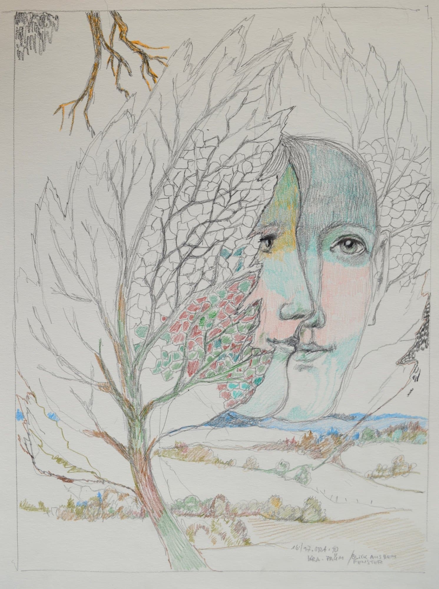 Blick aus dem Fenster