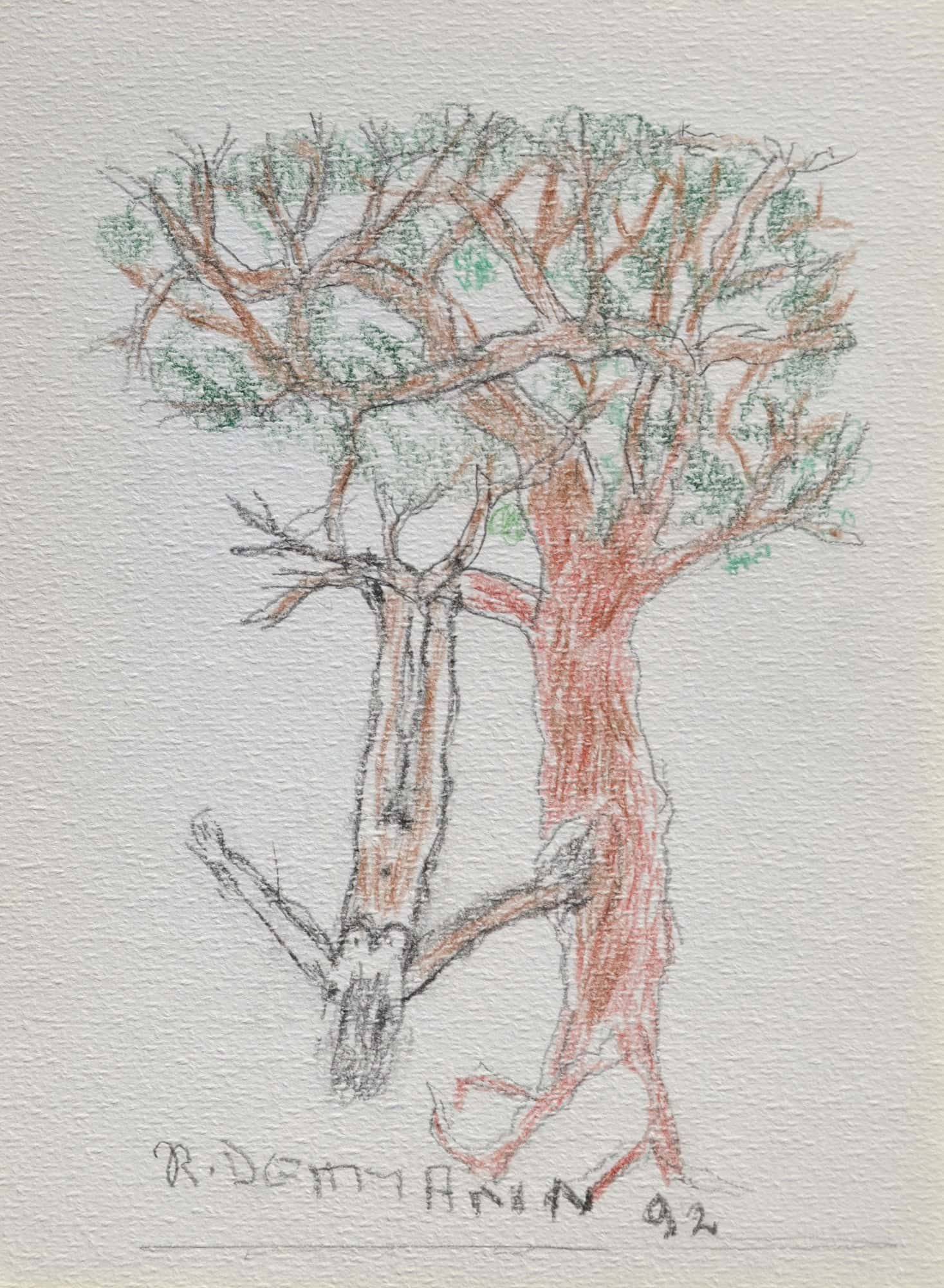 Vom Baum hängende