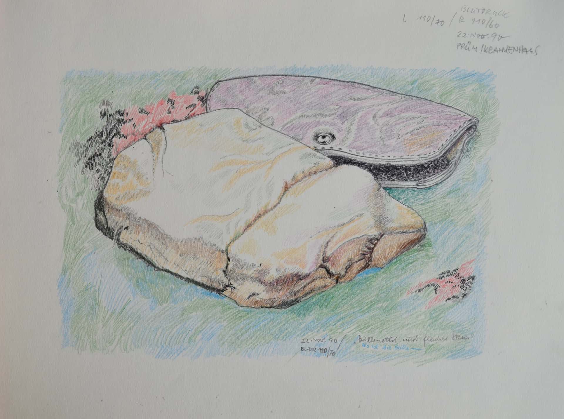 Brillenetui und flacher Stein. Wo ist die Brille