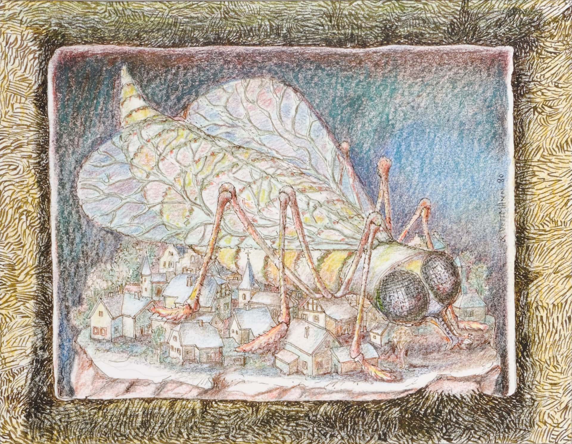 Fliege über Kronenburg