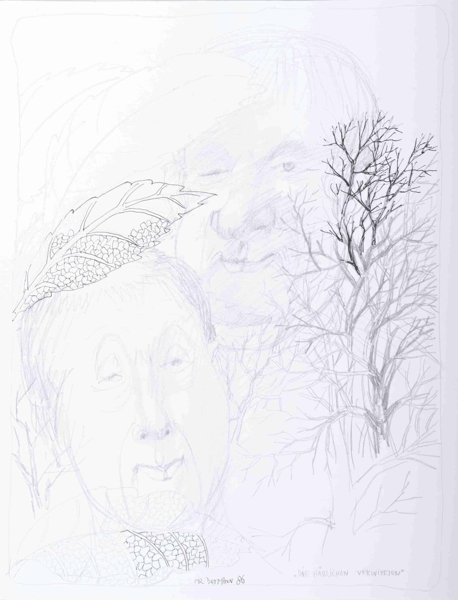 Die hässlichen Verwirrten