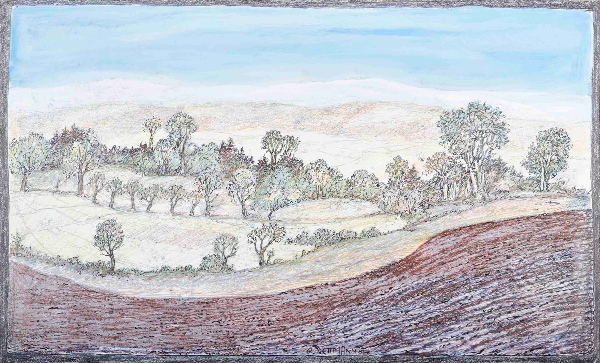 Landschaft am Mosenberg Maar