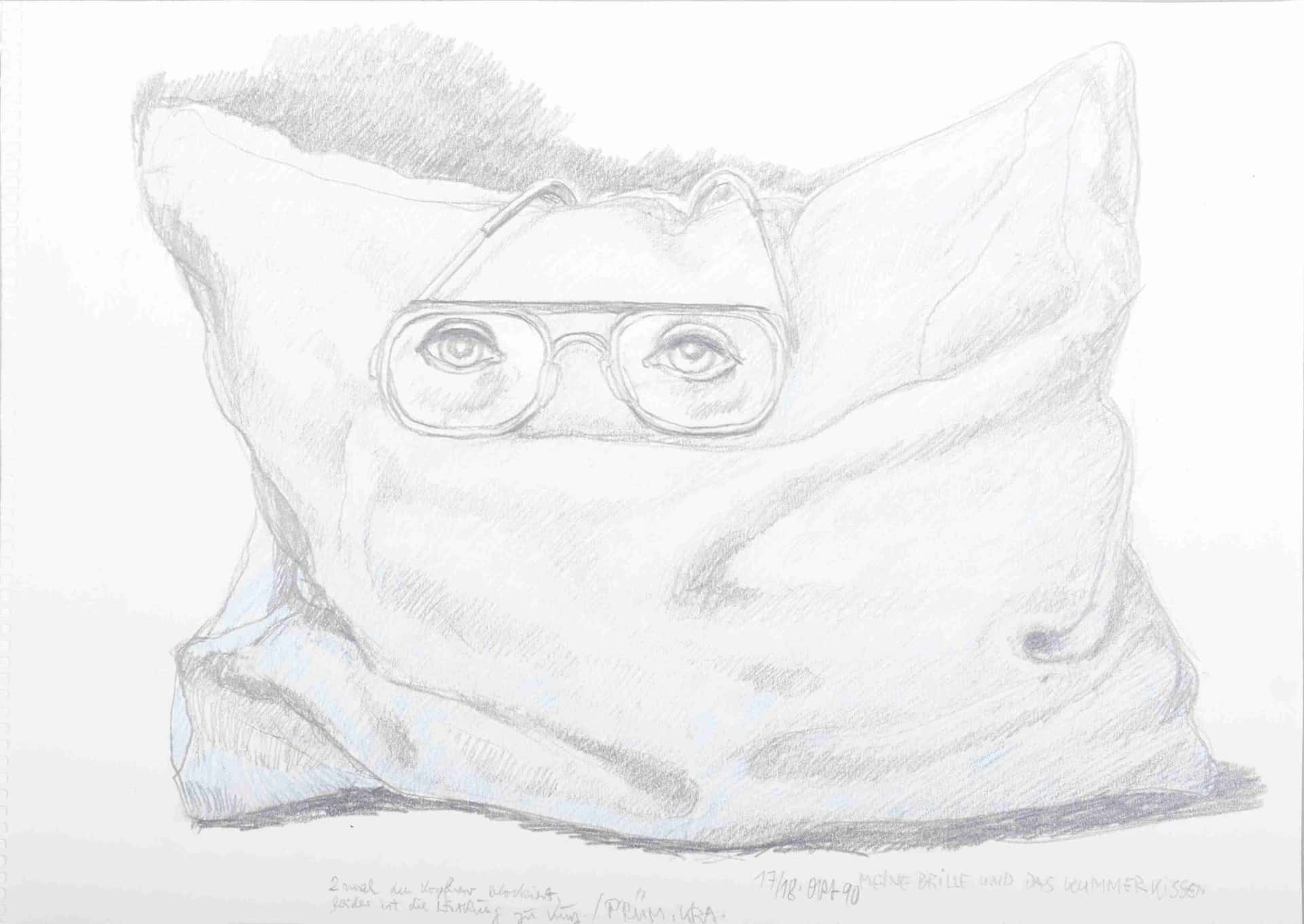 Meine Brille und das Kummerkissen