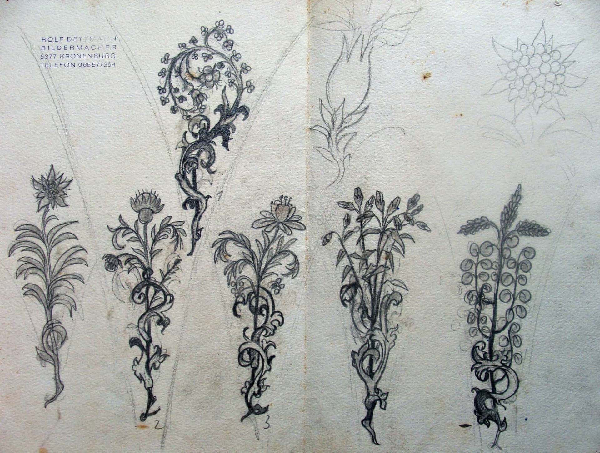 Gotische Rankenblumen